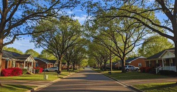 Neighborhood Spotlight: Powell, Tennessee — Small-Town Charm Just Minutes from Knoxville