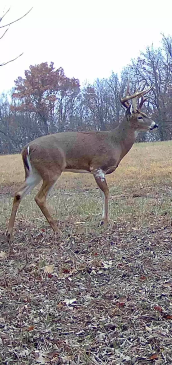 2039 145th Lane, Earlham, IA 50072