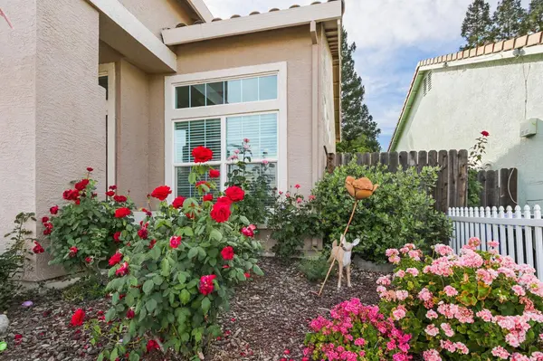 8450 Alameda Park DR, Elk Grove, CA 95624