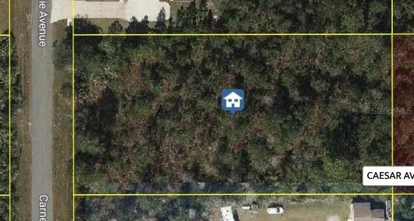CARNEGIE AVE, Orlando, FL 32833