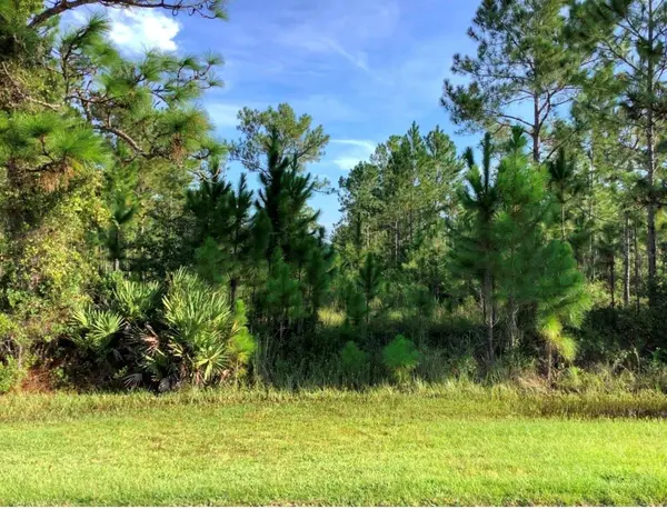 SABAL ST, Orlando, FL 32833