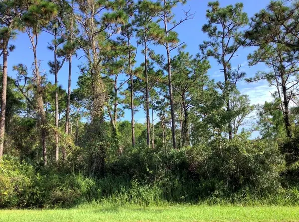 QUINELLA ST, Orlando, FL 32833