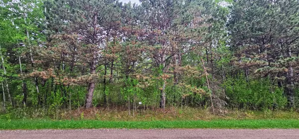 30147 Owl AVE, Aitkin, MN 56431