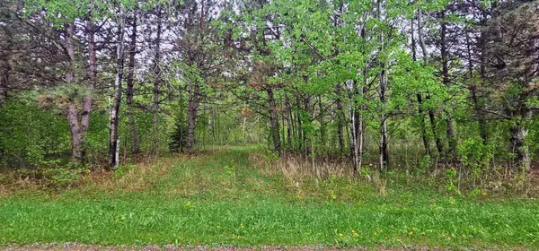 30147 Owl AVE, Aitkin, MN 56431