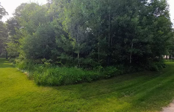 L2 B1 Josh, Pequot Lakes, MN 56472