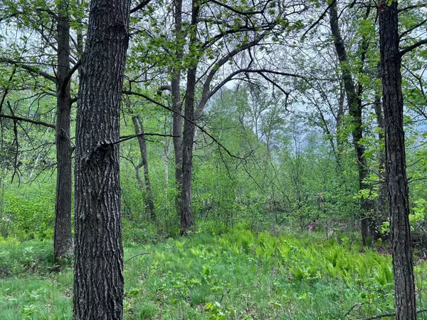 LOT 9 BLOCK 1 Yellow Birch LN, Emily, MN 56447