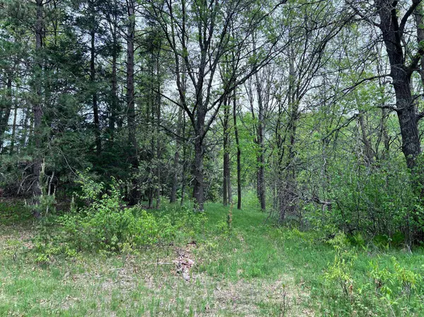 LOT 9 BLOCK 1 Yellow Birch LN, Emily, MN 56447