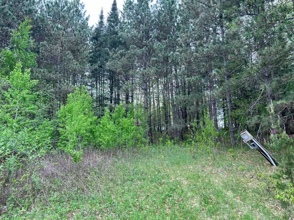 LOT 9 BLOCK 1 Yellow Birch LN, Emily, MN 56447