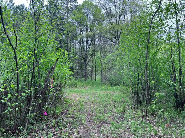 LOT 9 BLOCK 1 Yellow Birch LN, Emily, MN 56447