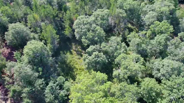 30057 Crystal Lake DR, Webb Lake, WI 54830