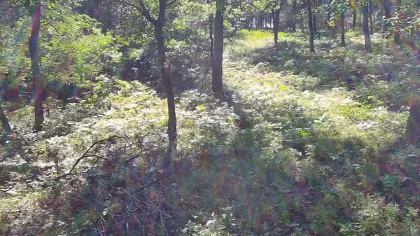 30057 Crystal Lake DR, Webb Lake, WI 54830