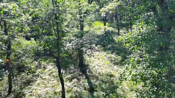 30057 Crystal Lake DR, Webb Lake, WI 54830