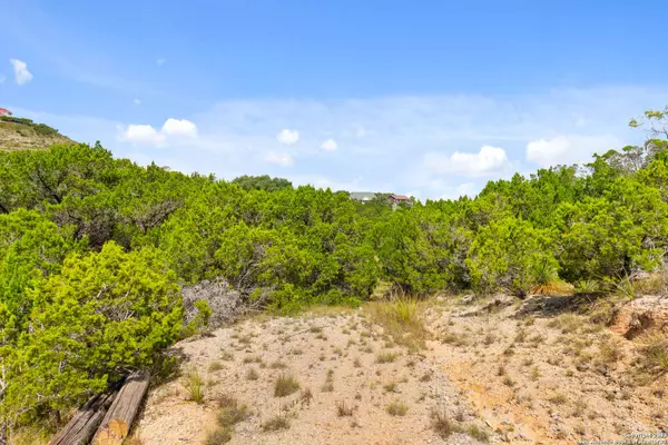 2440 Triple Peak, Canyon Lake, TX 78133