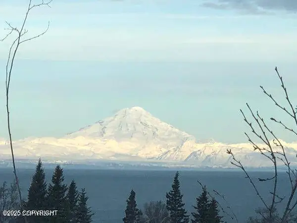 17751 Arcturus LOOP, Ninilchik, AK 99639