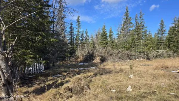 48640 Wendy LN, Soldotna, AK 99669