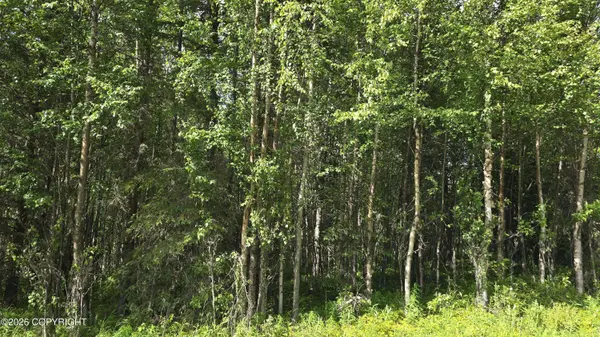 Lot 1 ECHO HEIGHTS ADDN, Soldotna, AK 99669