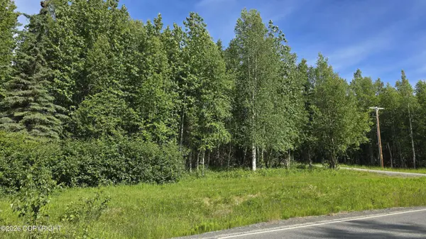 Lot 1 ECHO HEIGHTS ADDN, Soldotna, AK 99669