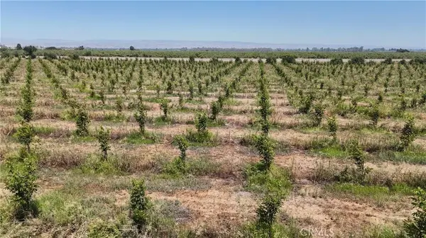 0 Loleta, Corning, CA 96021
