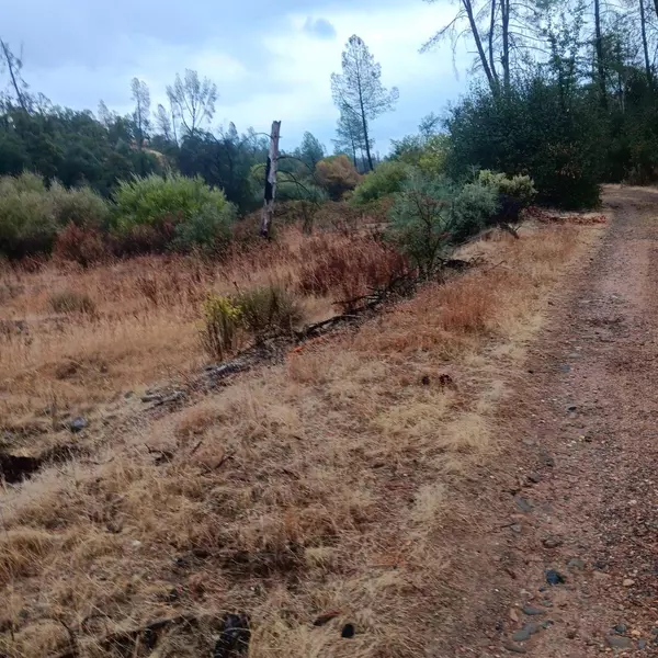 17795 Duck Canyon Rd, Igo, CA 96047