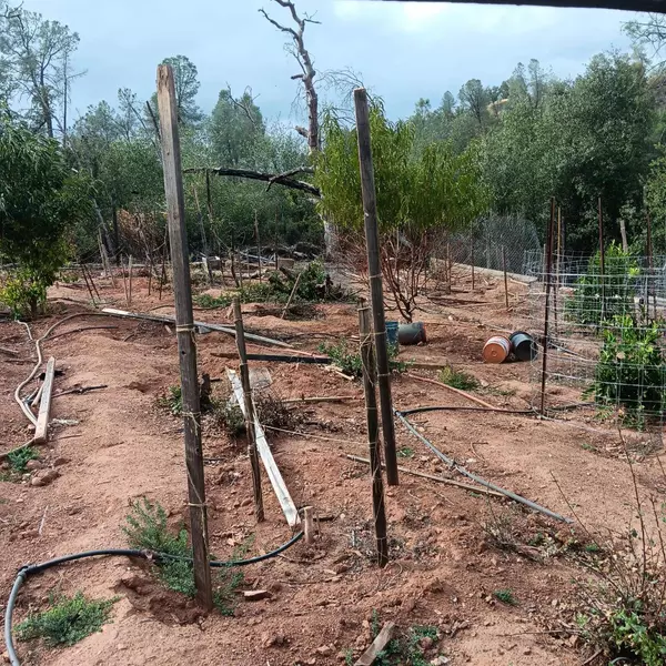 17795 Duck Canyon Rd, Igo, CA 96047