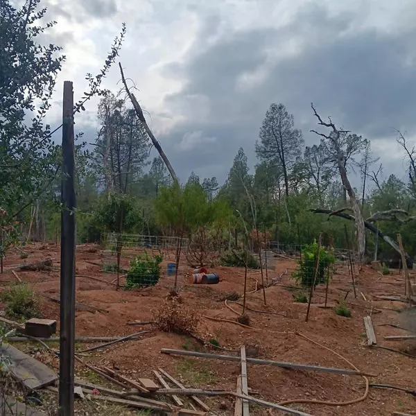 17795 Duck Canyon Rd, Igo, CA 96047