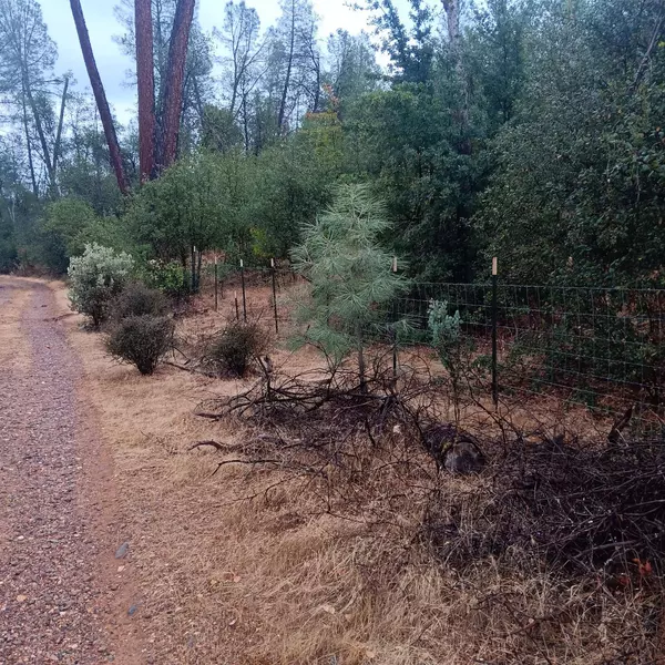 17795 Duck Canyon Rd, Igo, CA 96047