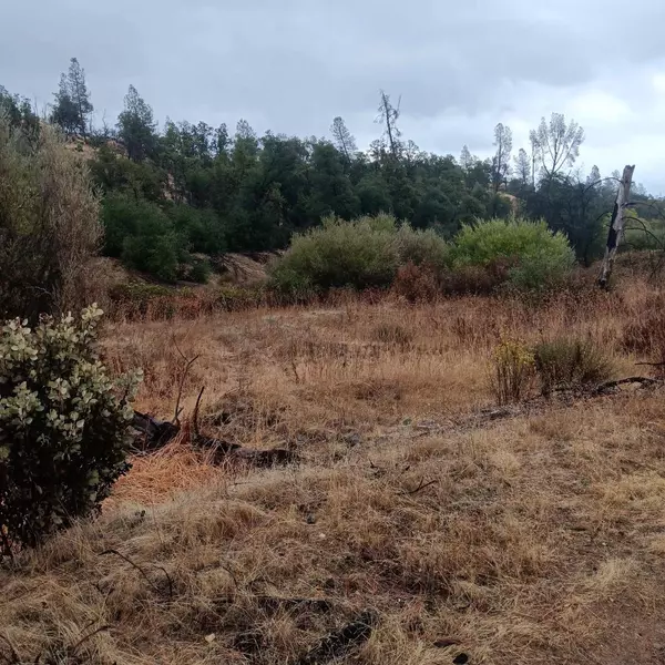 17795 Duck Canyon Rd, Igo, CA 96047