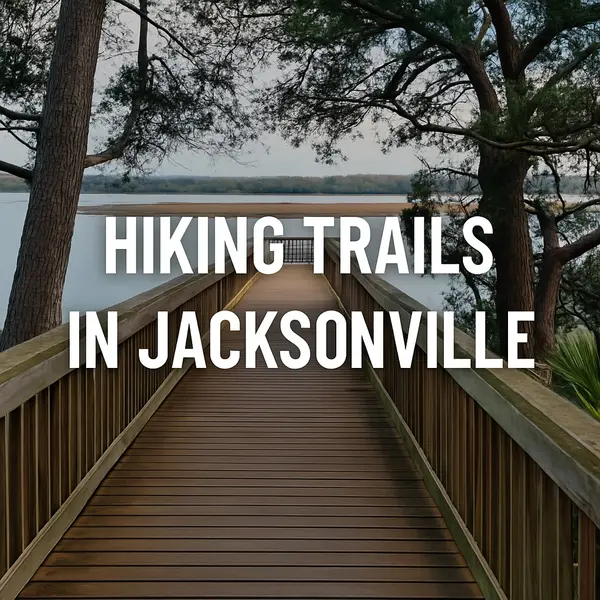Exploring Jacksonville’s Best Hiking Trails (And a Few Father-Son Favorites)