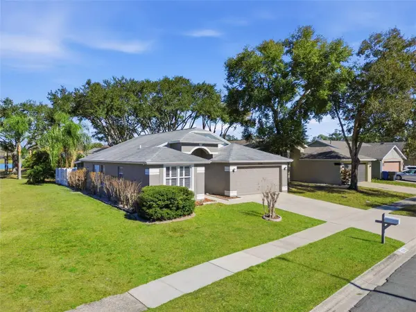 2119 CATTLEMAN DR, Brandon, FL 33511