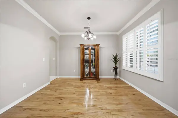 21115 PRESERVATION DR, Land O Lakes, FL 34638