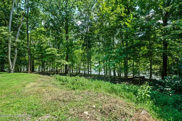 1860 Tanglewood Ln, Mcdaniels, KY 40152