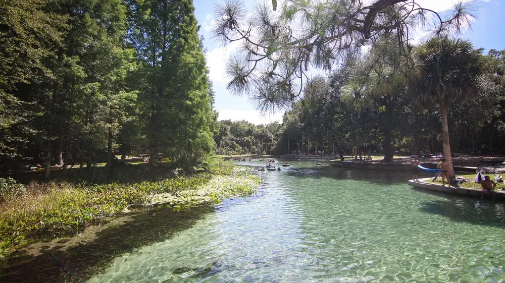 APOPKA