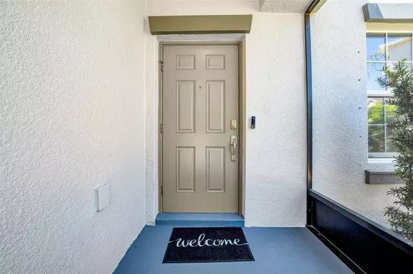 10612 STRAWBERRY TETRA DR, Riverview, FL 33578