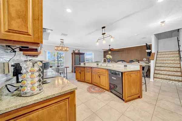 10612 STRAWBERRY TETRA DR, Riverview, FL 33578