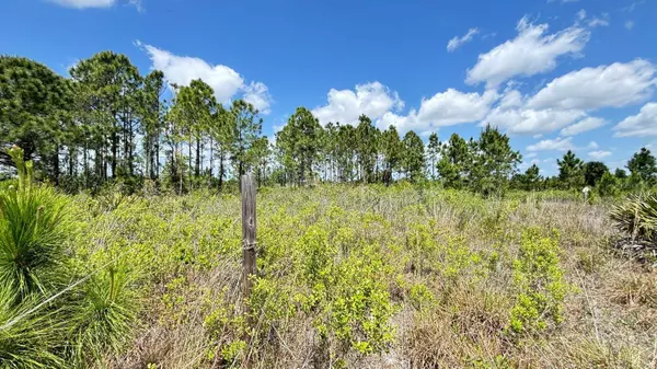 18121 NW 304TH ST, Okeechobee, FL 34972