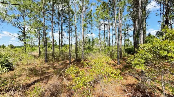 18121 NW 304TH ST, Okeechobee, FL 34972