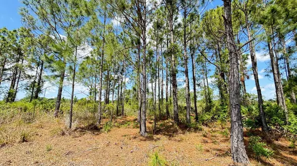 18121 NW 304TH ST, Okeechobee, FL 34972