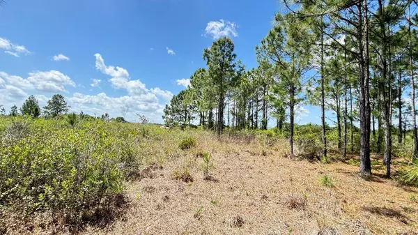 18121 NW 304TH ST, Okeechobee, FL 34972