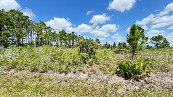 18121 NW 304TH ST, Okeechobee, FL 34972