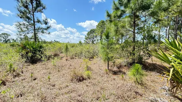 18121 NW 304TH ST, Okeechobee, FL 34972