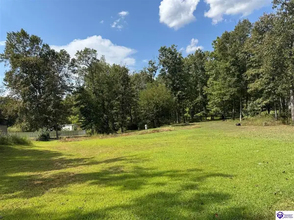 35 Oakland Drive, Leitchfield, KY 42754