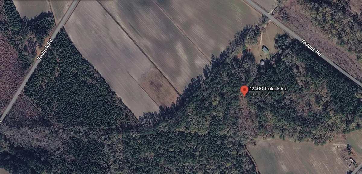 12400 Truluck Rd, Olanta, SC 29114-9252