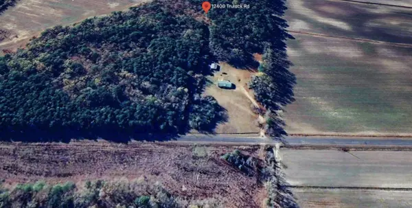 12400 Truluck Rd, Olanta, SC 29114-9252