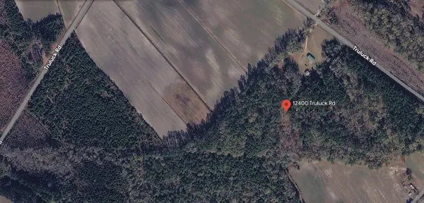 12400 Truluck Rd, Olanta, SC 29114-9252