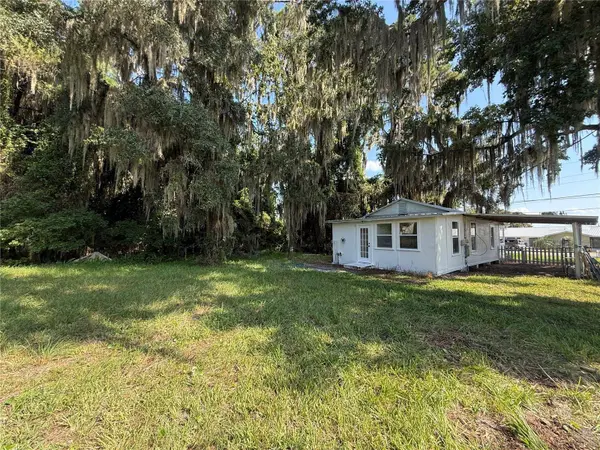 102 POSSUM HOLLOW RD, Georgetown, FL 32139