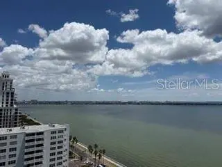 2413 BAYSHORE BLVD #2001, Tampa, FL 33629