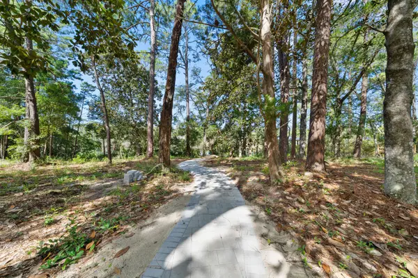 769 Old Ferry RD, Santa Rosa Beach, FL 32459