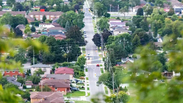 Tree lined residential street in a Northern Colorado neighborhood