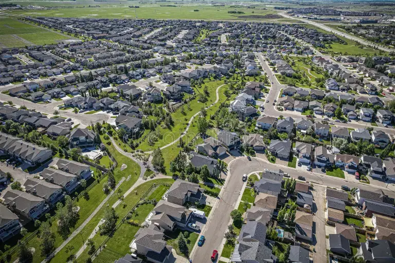 Willow Grove