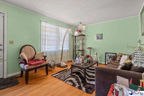 314 Hopkins St, Manning, SC 29102